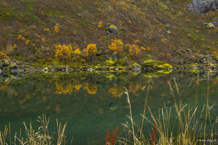 _DSC2061.jpg