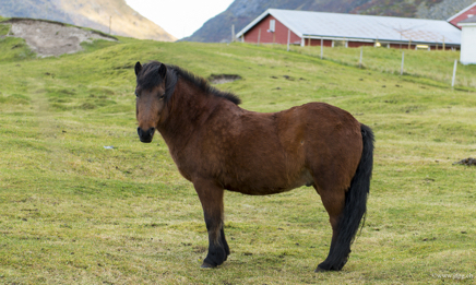 _DSC2683.jpg