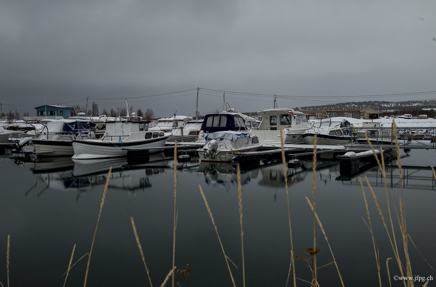 _DSC9172.jpg