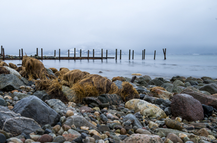 _DSC9192.jpg