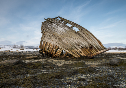 _DSC9237.jpg