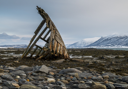 _DSC9241.jpg