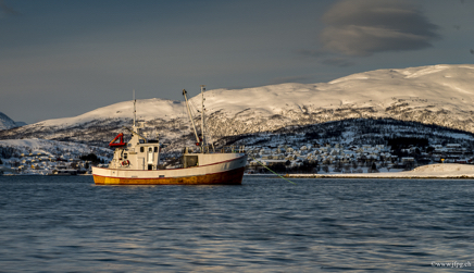 _DSC9396.jpg