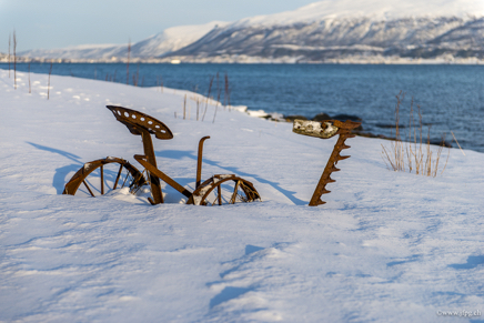 _DSC9438.jpg