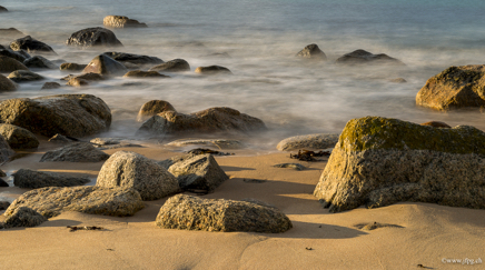 _DSC9809.jpg
