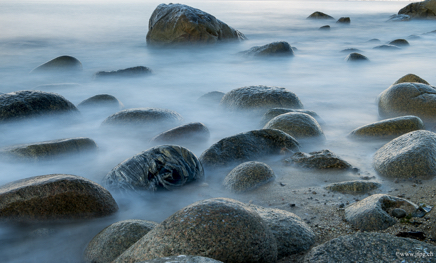 _DSC9844.jpg