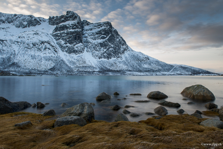 _DSC9873.jpg