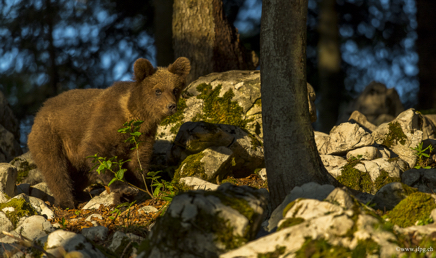 _DSC3033.jpg