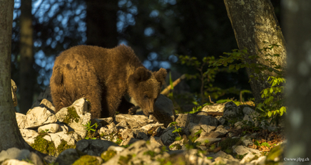 _DSC3094.jpg