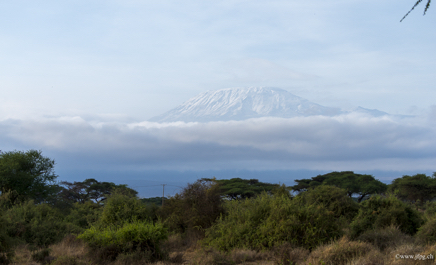 _DSC1954.jpg