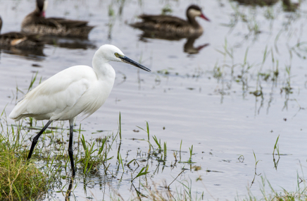 _DSC2824.jpg