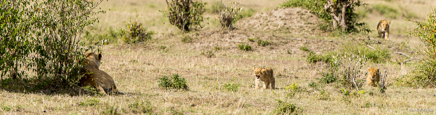 _DSC8291.jpg