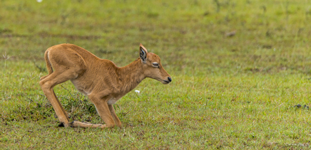 _DSC9200.jpg