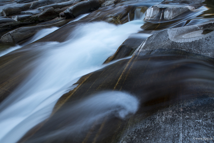 _DSC2265.jpg