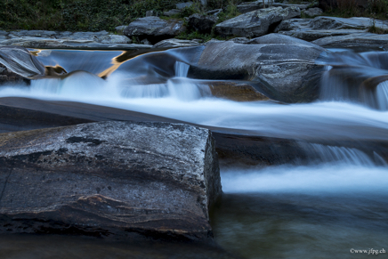 _DSC2300.jpg