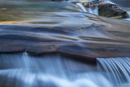 _DSC2317.jpg