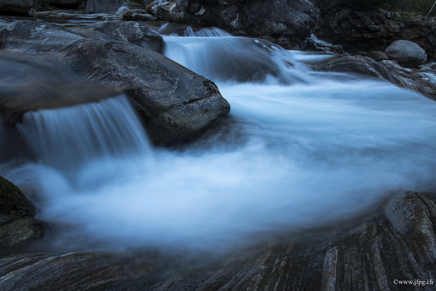 _DSC2320.jpg