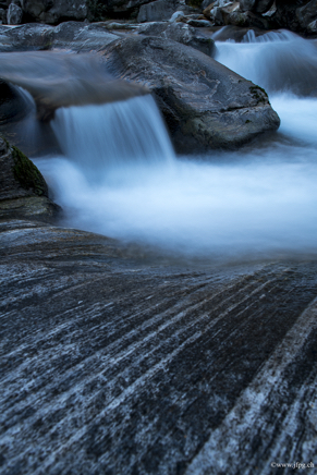 _DSC2324.jpg