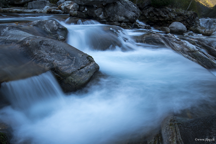_DSC2328.jpg