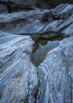 _DSC2333.jpg