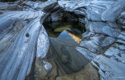 _DSC2356.jpg