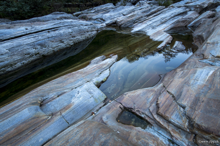 _DSC2364.jpg