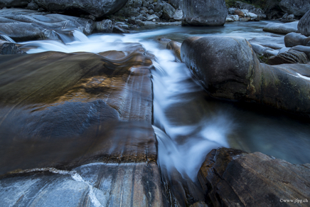 _DSC2391.jpg