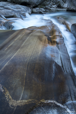 _DSC2397.jpg