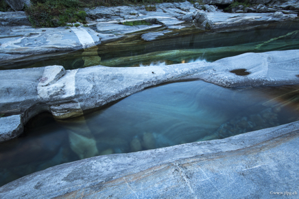 _DSC2404.jpg
