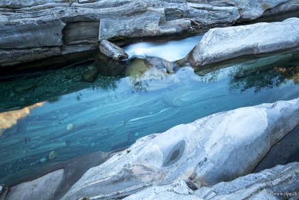 _DSC2409.jpg