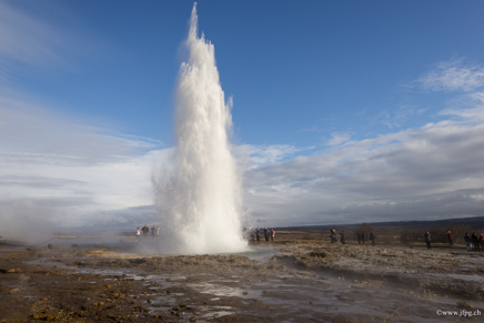 _DSC3140.jpg