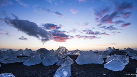 _DSC3784.jpg