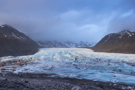 _DSC4122.jpg