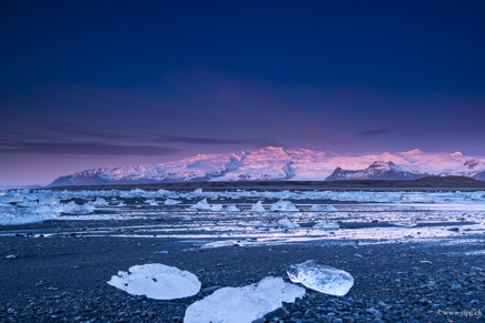 _DSC4905.jpg