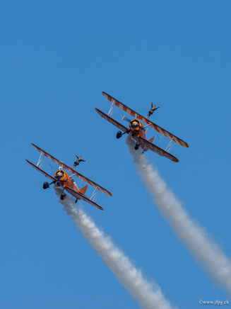 _DSC0917.jpg