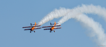 _DSC0887.jpg