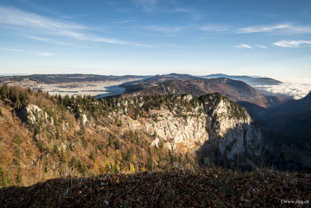 _DSC2704.jpg
