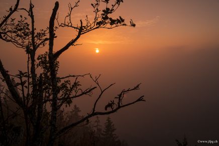 _DSC1812.jpg