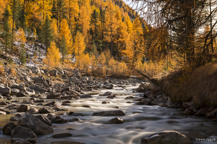 _DSC8633.jpg