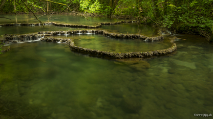 _DSC4507.jpg
