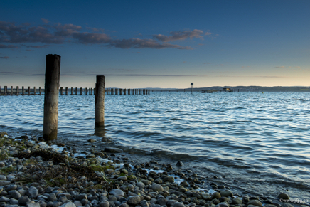 _DSC8697.jpg