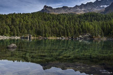 _DSC9168.jpg