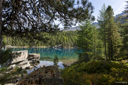 _DSC9124.jpg