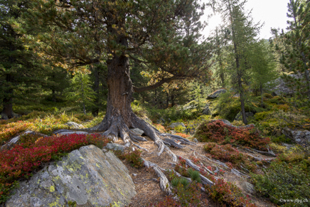_DSC9101.jpg