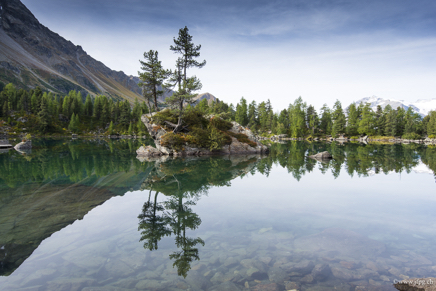_DSC9060.jpg