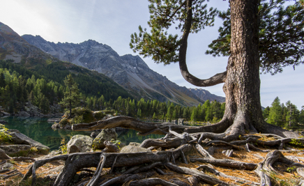 _DSC9050.jpg