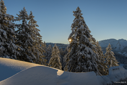 _DSC0997.jpg