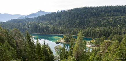 _DSC7203.jpg