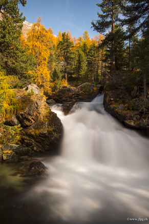 _DSC1093.jpg