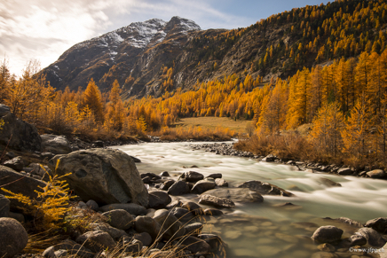 _DSC1083.jpg